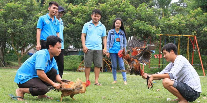 Chiến lược cho hội viên