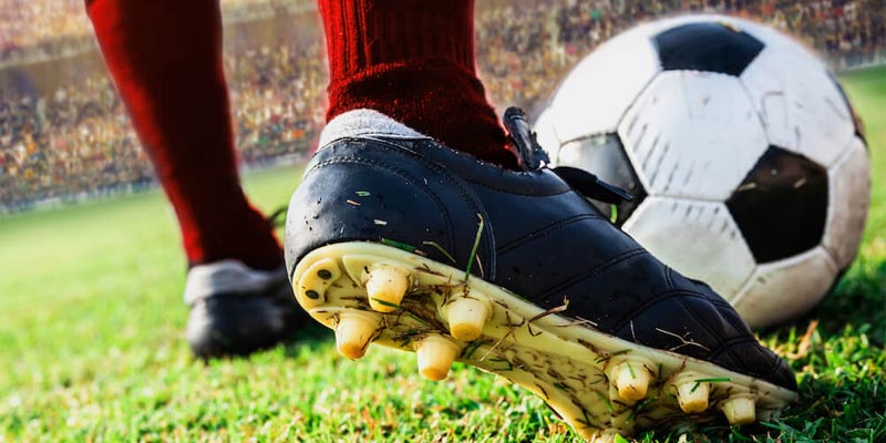 Hướng dẫn người chơi mới cách đọc kèo châu Âu Tin88 hiệu quả