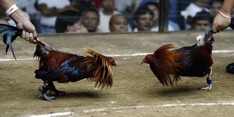 Quy trình đặt hiệu quả