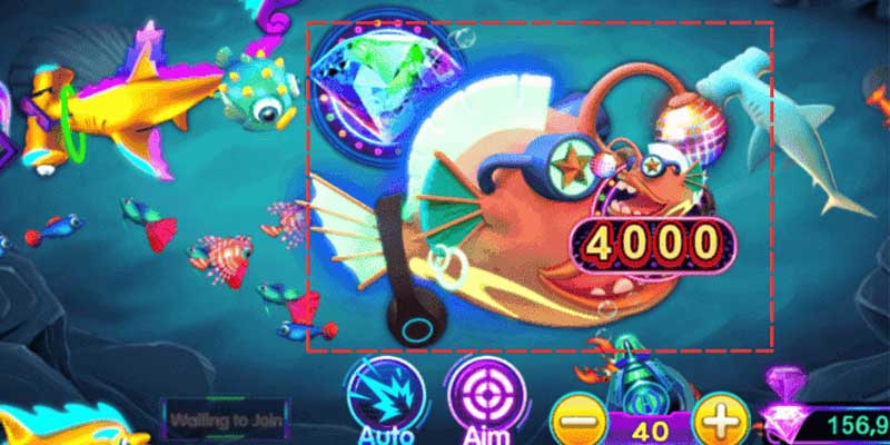 Vài nét về fishing disco